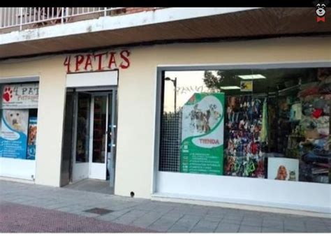 4 patas aranjuez|4 Patas Perruqueria